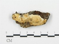 登錄號:F0004581藏品圖，第1張