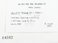 登錄號:F0004582藏品圖，第2張