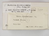 登錄號:F0004583藏品圖，第2張