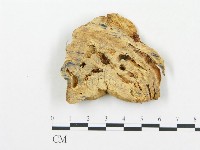 登錄號:F0004583藏品圖，第1張