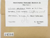 登錄號:F0004584藏品圖，第2張