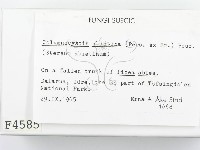 登錄號:F0004585藏品圖，第2張