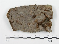 登錄號:F0004585藏品圖，第1張