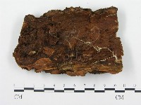 登錄號:F0004585藏品圖，第3張