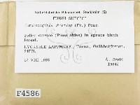 登錄號:F0004586藏品圖，第2張