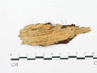 登錄號:F0004586藏品圖，第3張