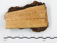 登錄號:F0004587藏品圖，第3張