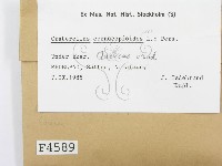登錄號:F0004589藏品圖，第2張