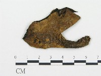 登錄號:F0004589藏品圖，第3張
