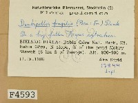 登錄號:F0004593藏品圖，第2張