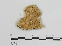 登錄號:F0004593藏品圖，第1張