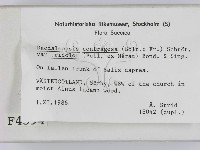 登錄號:F0004594藏品圖，第2張