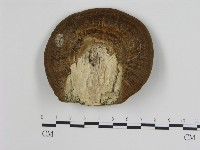 登錄號:F0004594藏品圖，第3張