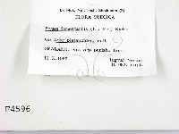 登錄號:F0004596藏品圖，第2張