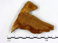 登錄號:F0004596藏品圖，第3張