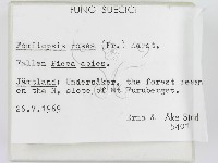 登錄號:F0004598藏品圖，第2張