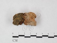 登錄號:F0004599藏品圖，第1張