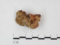 登錄號:F0004599藏品圖，第3張