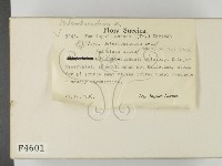 登錄號:F0004601藏品圖，第2張