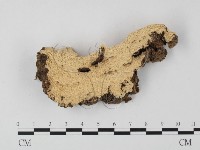 登錄號:F0004601藏品圖，第1張