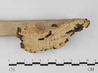 登錄號:F0004601藏品圖，第3張