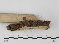 登錄號:F0004601藏品圖，第5張