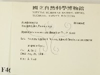 登錄號:F0004602藏品圖，第2張