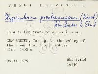 登錄號:F0004605藏品圖，第3張