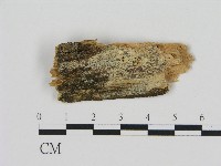 登錄號:F0004605藏品圖，第1張