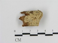 登錄號:F0004606藏品圖，第1張