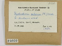 登錄號:F0004608藏品圖，第2張