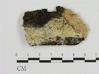 登錄號:F0004608藏品圖，第1張