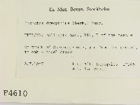 登錄號:F0004610藏品圖，第2張