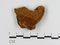 登錄號:F0004610藏品圖，第1張