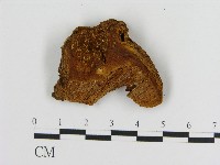 登錄號:F0004610藏品圖，第3張