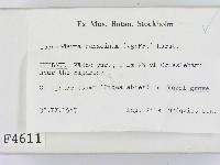 登錄號:F0004611藏品圖，第2張