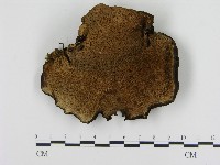 登錄號:F0004611藏品圖，第3張