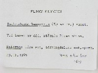 登錄號:F0004612藏品圖，第2張