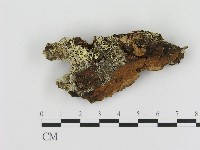 登錄號:F0004612藏品圖，第1張