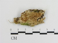 登錄號:F0004613藏品圖，第1張