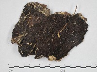 登錄號:F0004616藏品圖，第1張