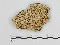 登錄號:F0004618藏品圖，第1張