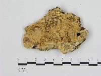 登錄號:F0004618藏品圖，第3張