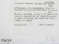 登錄號:F0004619藏品圖，第2張