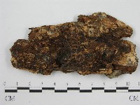 登錄號:F0004619藏品圖，第1張