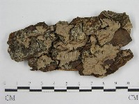 登錄號:F0004619藏品圖，第3張