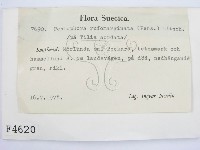 登錄號:F0004620藏品圖，第2張