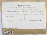 登錄號:F0004621藏品圖，第2張