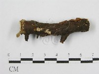 登錄號:F0004621藏品圖，第1張