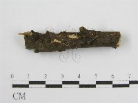 登錄號:F0004621藏品圖，第3張